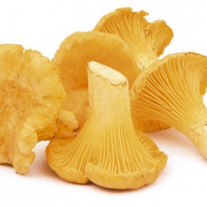 Girolle