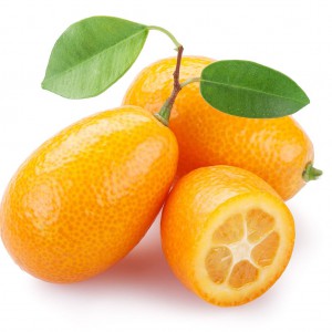 Kumquat