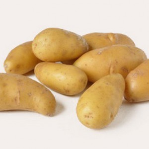 Ratte aardappel