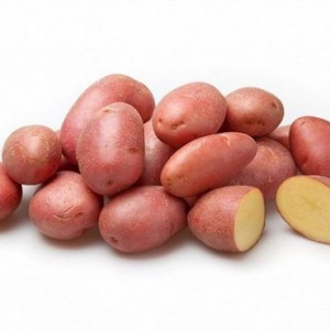Rode aardappel