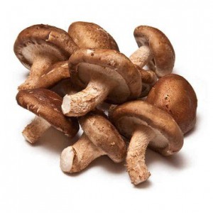 Shiitake