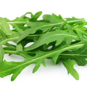 Rucola